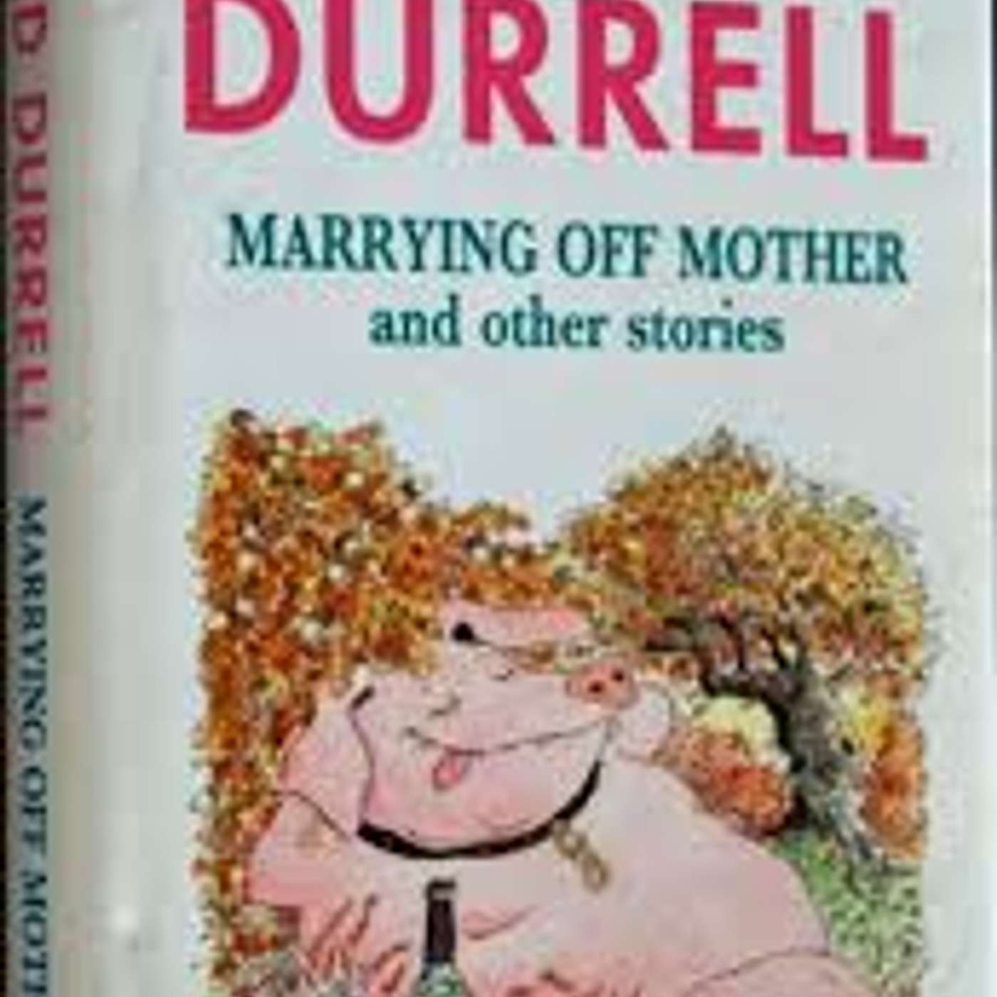 Amici per il pelo, il mondo degli animali visto e raccontato da una veterinaria