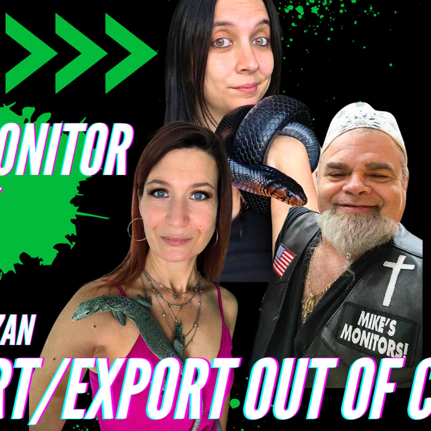 Things You Should Know Before Buying Imports | All Monitor Talk Live