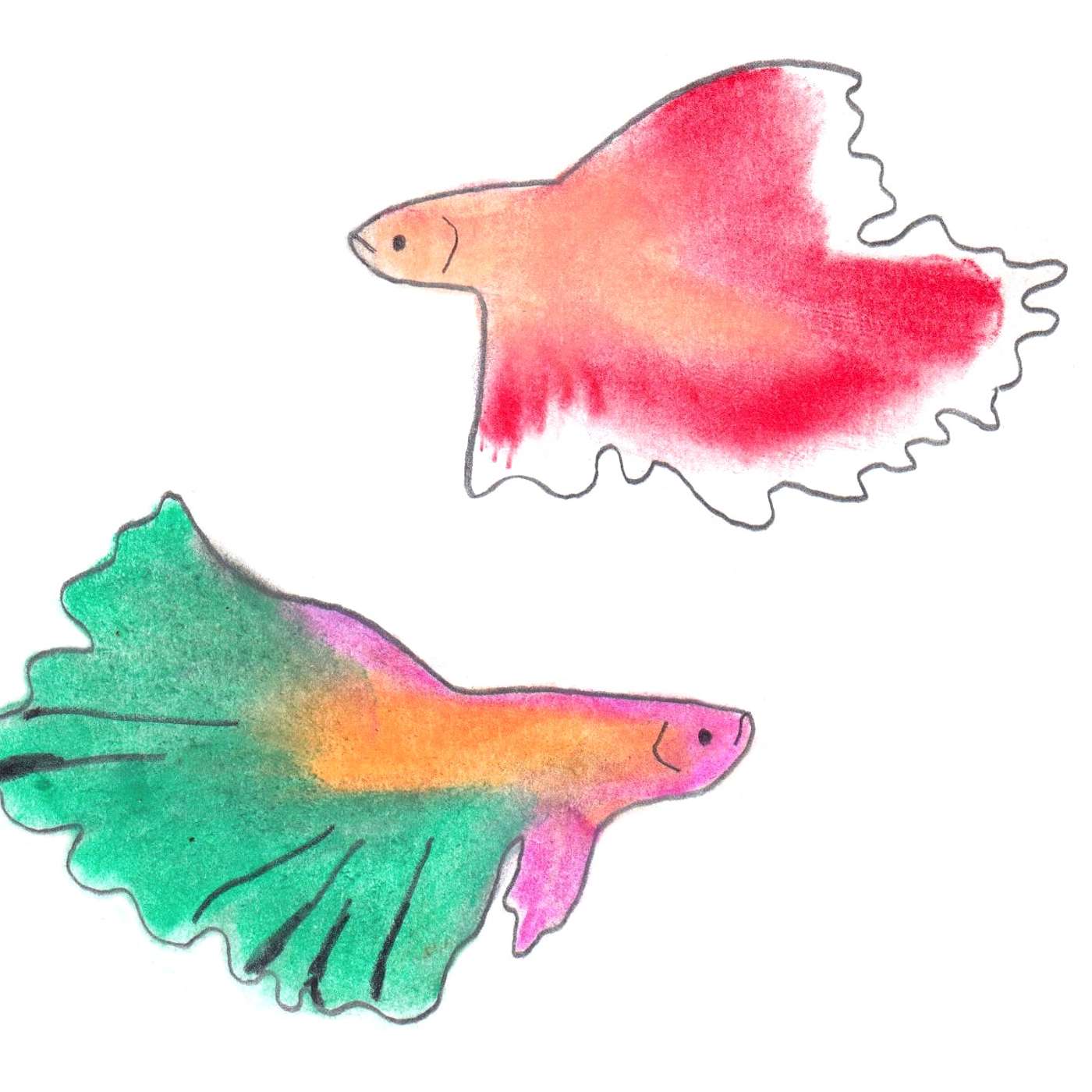 FEATURE | Unknown Unknowns