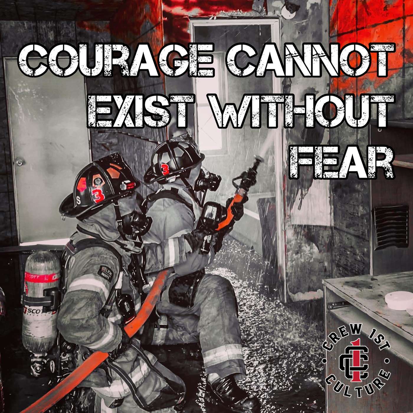 Courage Cannot Exist Without Fear