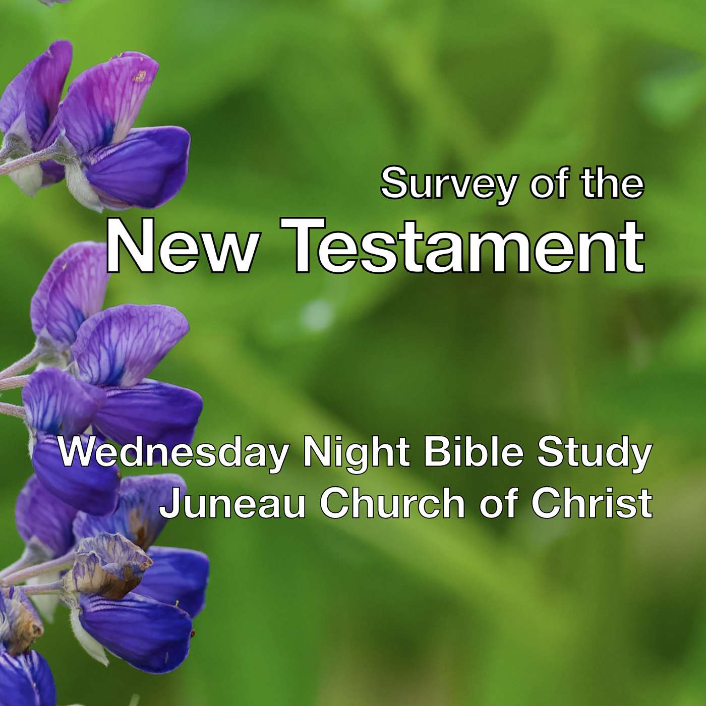 Wednesday Night Bible Study