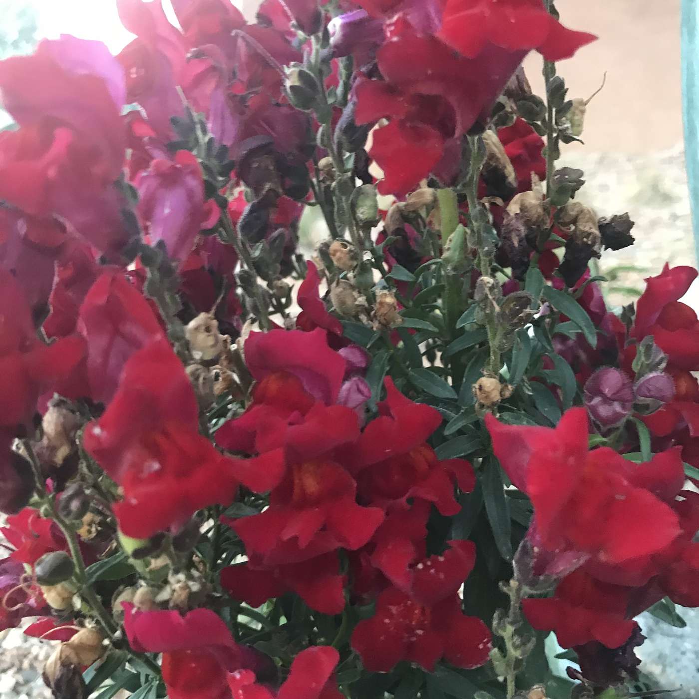 First Cup of Coffee - August 20, 2018