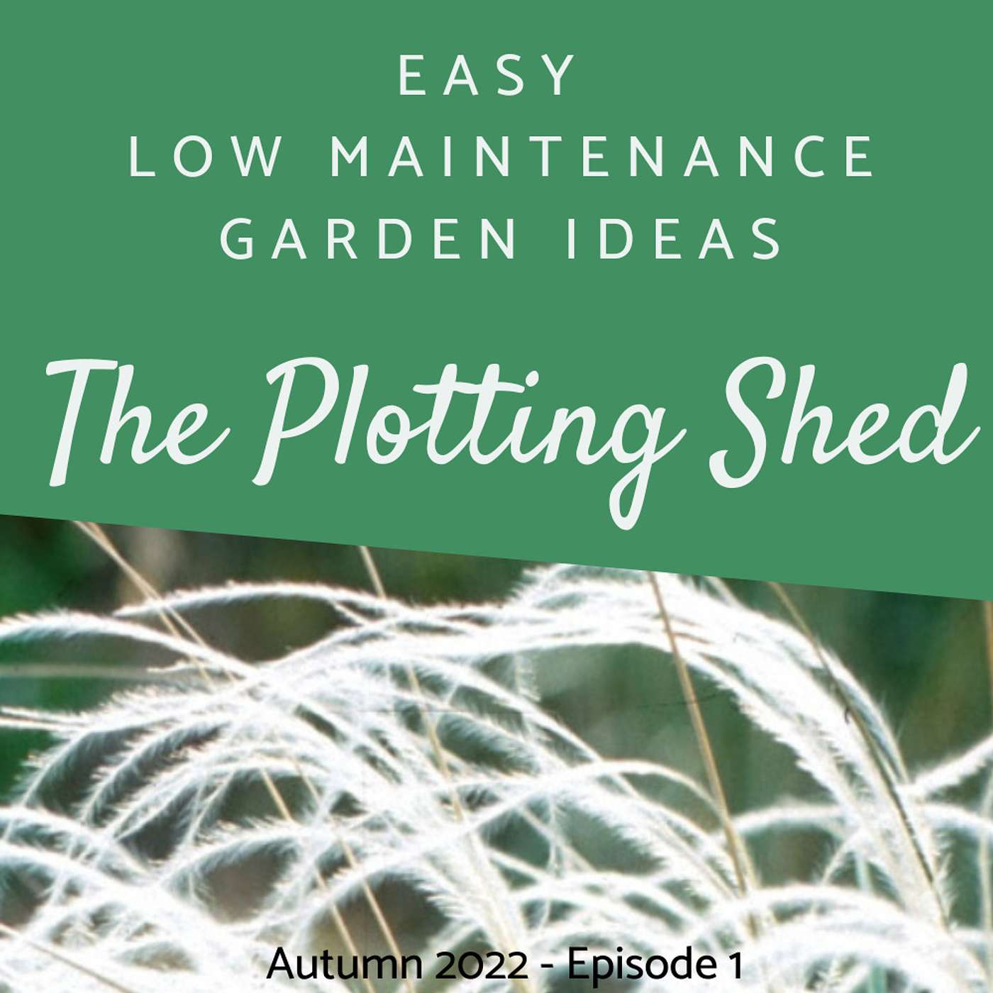 Easy low maintenance garden ideas