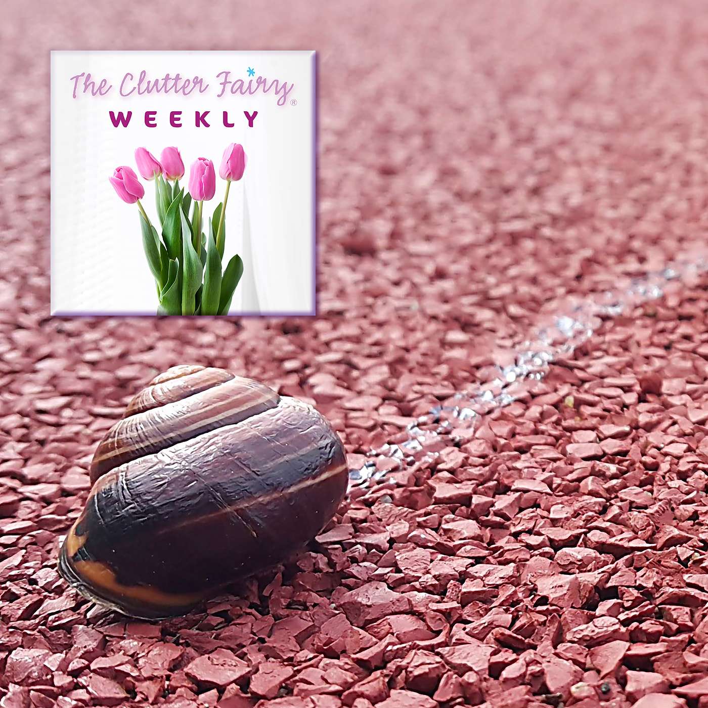 Race Against the Clock: Time Issues and Organizing - The Clutter Fairy Weekly #119