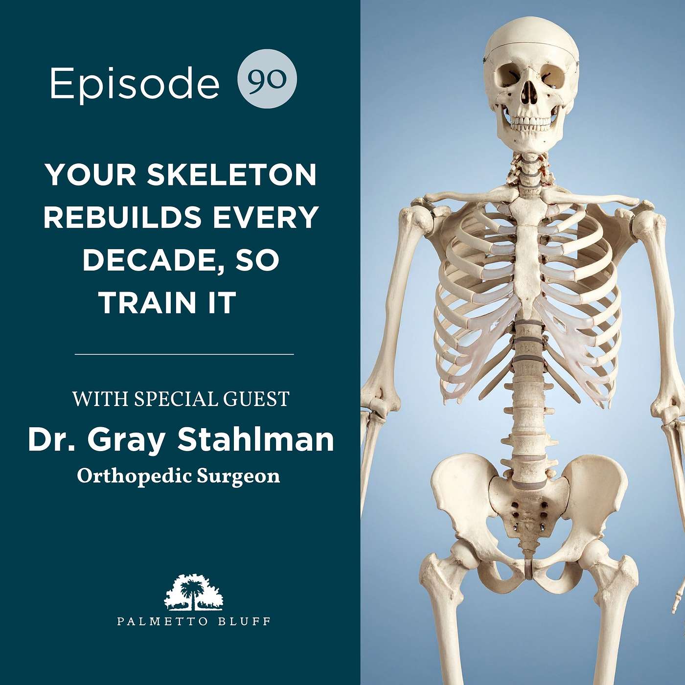 Your Skeleton Rebuilds Every Decade, So Train It