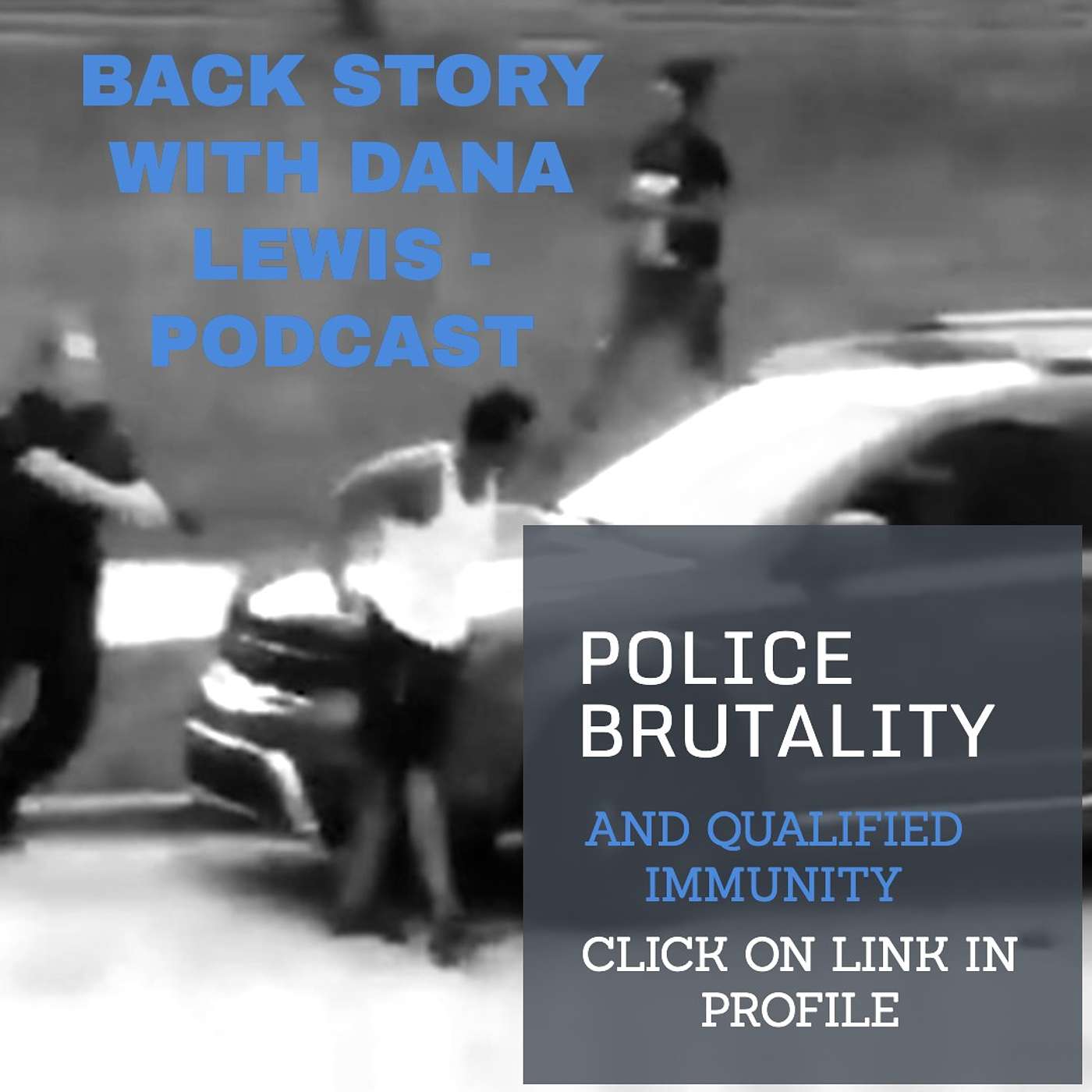 POLICE BRUTALITY (and Qualified Immunity)