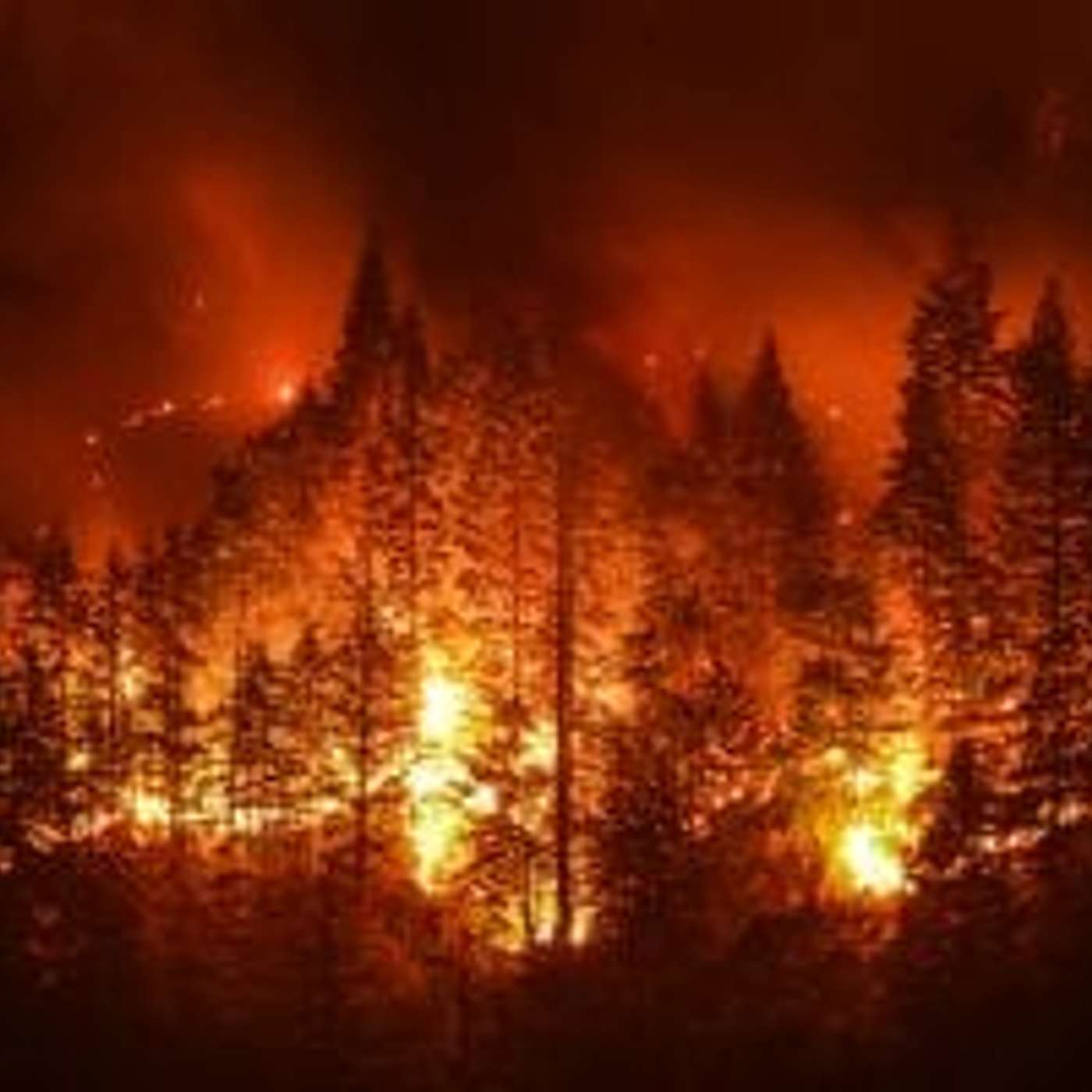 Scottsdale Implements Wildfire Prevention Strategy episode artwork