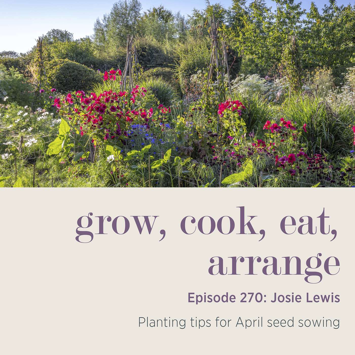 Josie Lewis: Planting tips for April seed sowing - Episode 270
