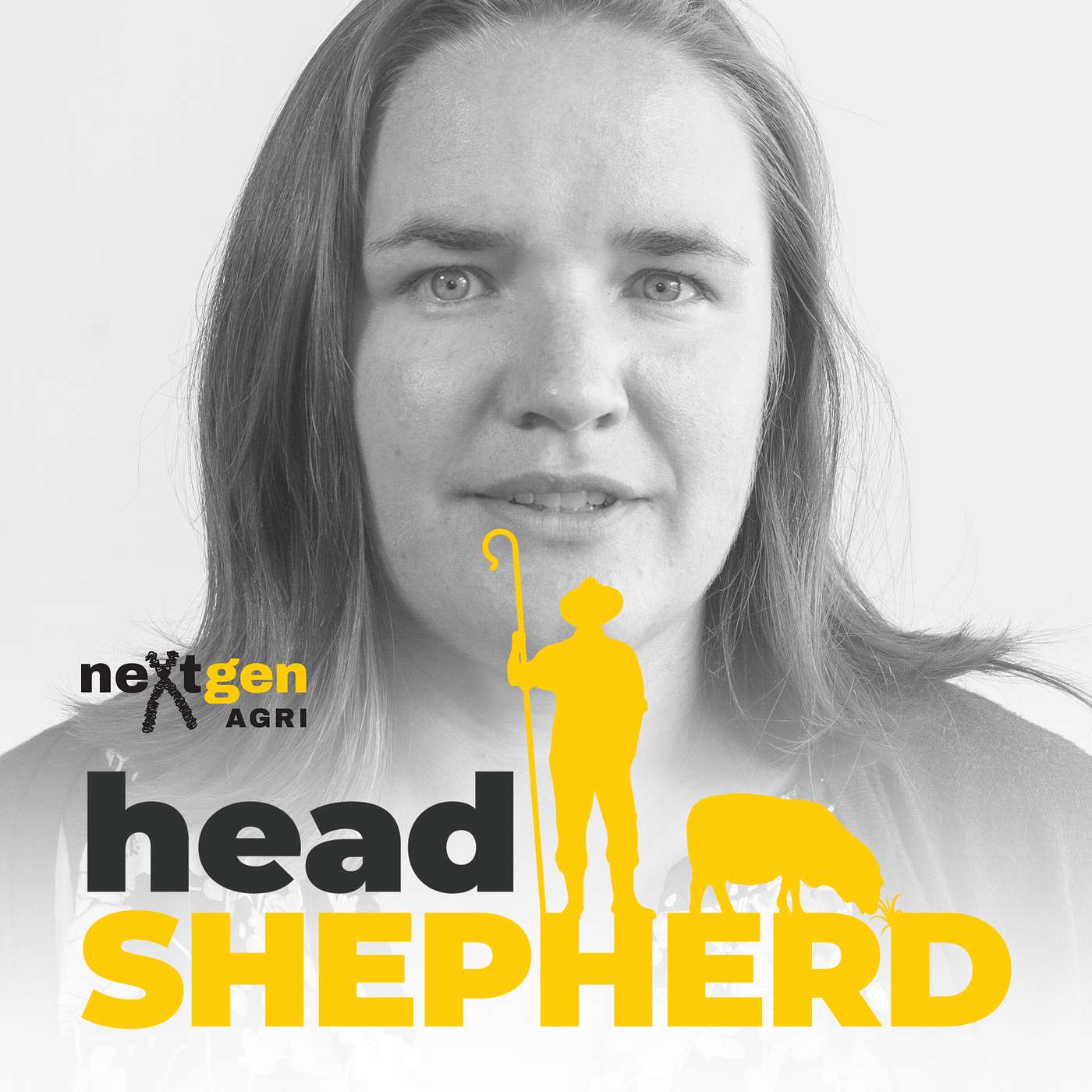 Head Shepherd