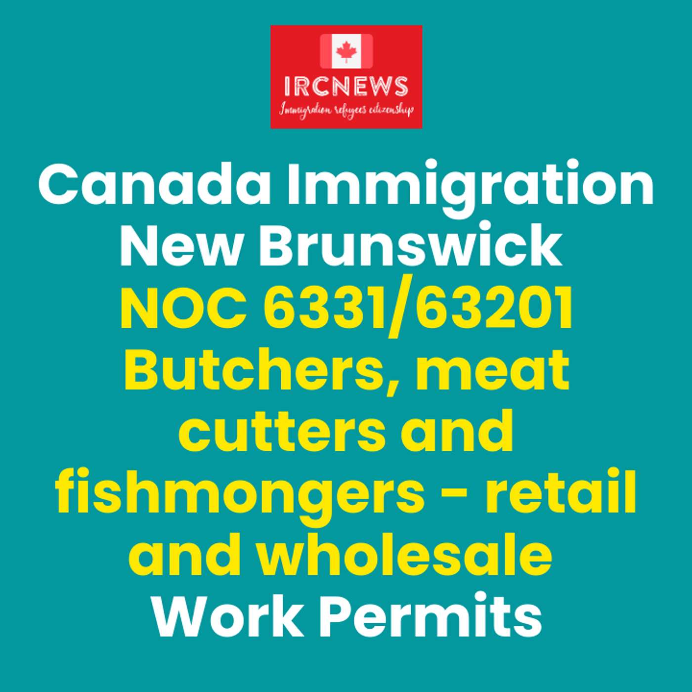 Canada Immigration New Brunswick NOC 6331/63201 Butchers, meat cutters and fishmongers - retail and wholesale Work Permits episode artwork
