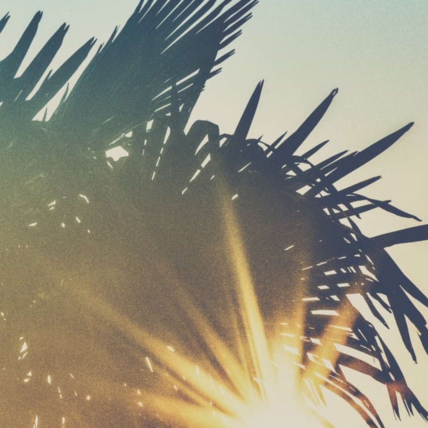 Palm Sunday episode artwork