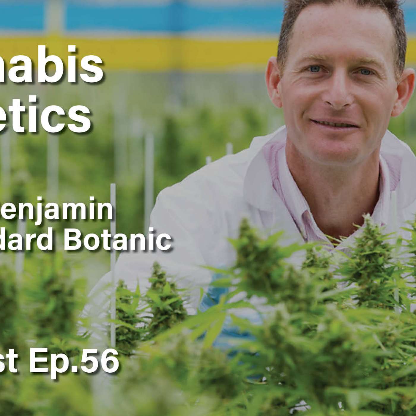 AltMed: Cannabis and Alternative Medicine Podcast