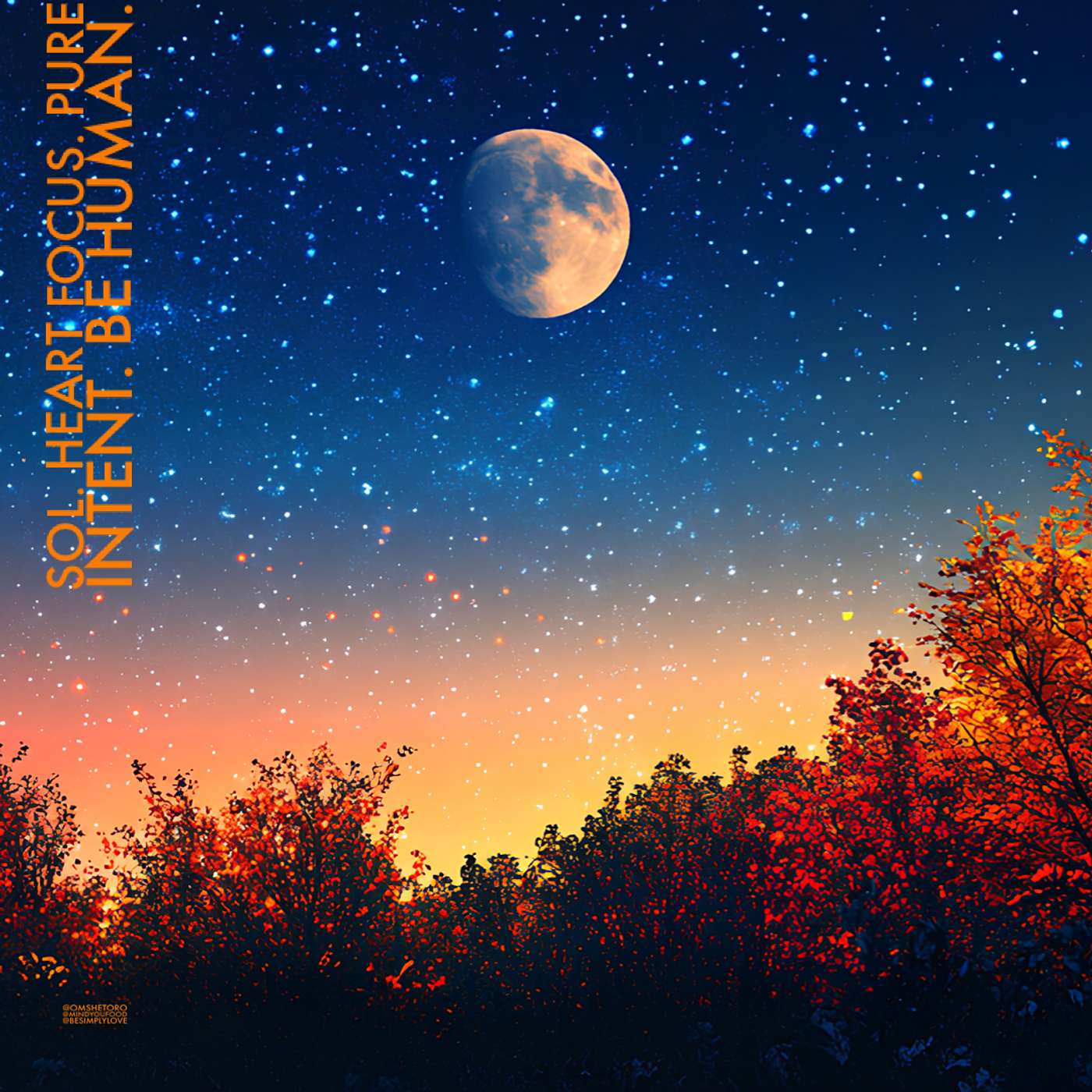 BeSimply...Heart Focus. Pure Intent. {Sol + Luna Full Moon 9 + 8}