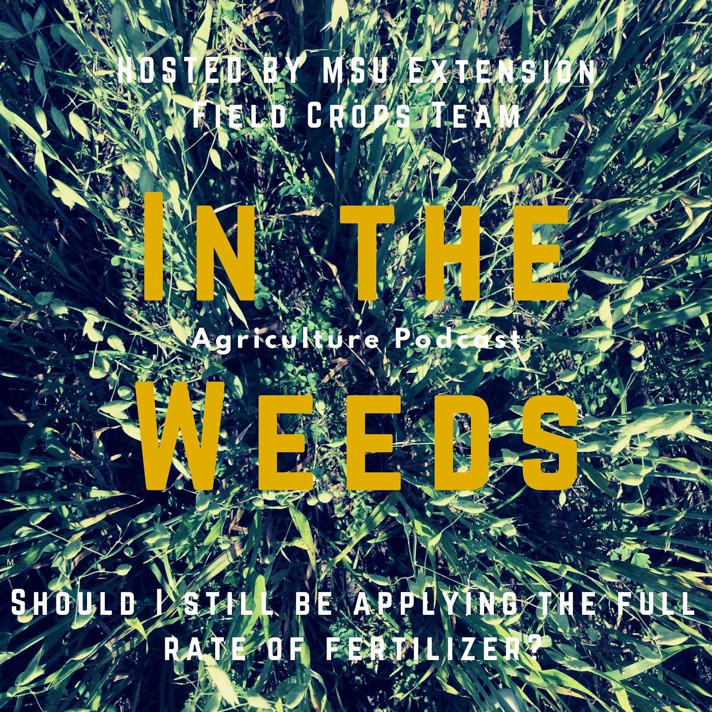In the Weeds: Should I Still be Applying the Full Rate of Fertilizer? episode artwork