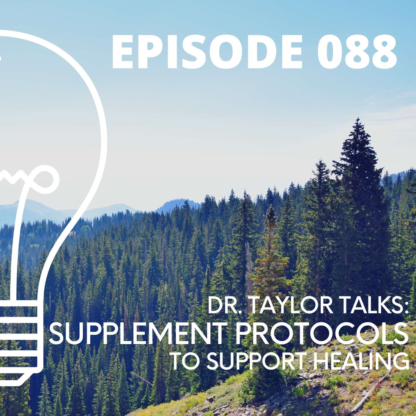 088 - How I Use Supplement Protocols to Support Healing episode artwork