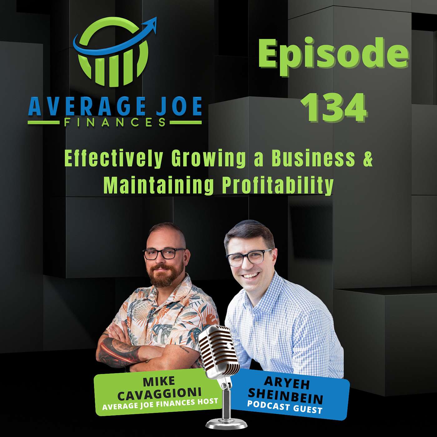 134. Effectively Growing a Business & Maintaining Profitability with Aryeh Sheinbein