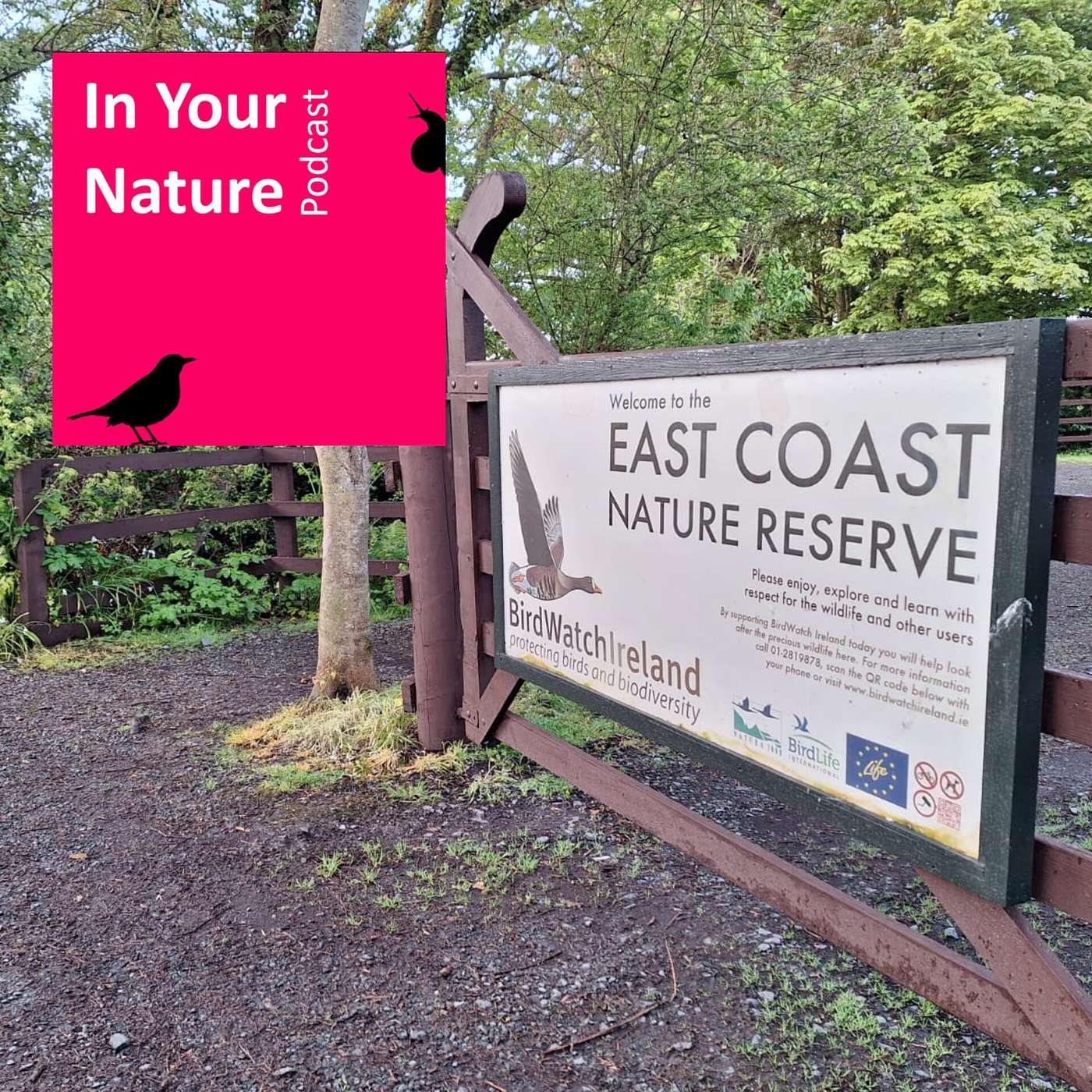 In Your Nature Ep 35 - Dawn Chorus Live From East Coast Nature Reserve