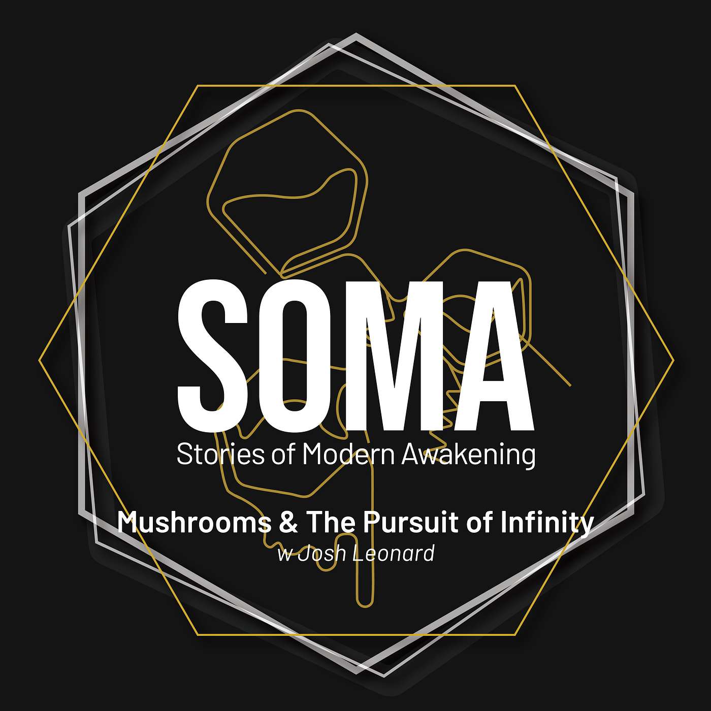 Mushrooms & the Pursuit of Infinity w/ Josh Leonard Mushrooms & the Pursuit of Infinity w/ Josh Leonard