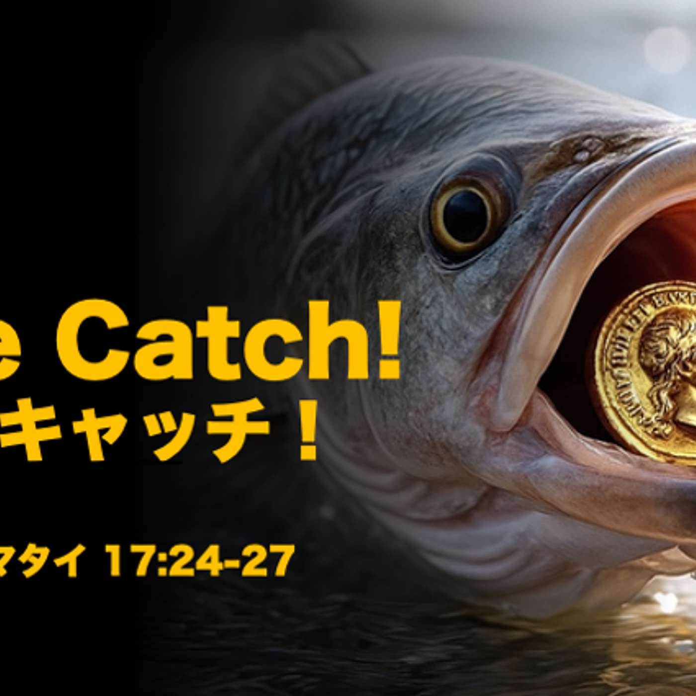 Nice Catch! ナイスキャッチ! Nice Catch! ナイスキャッチ!