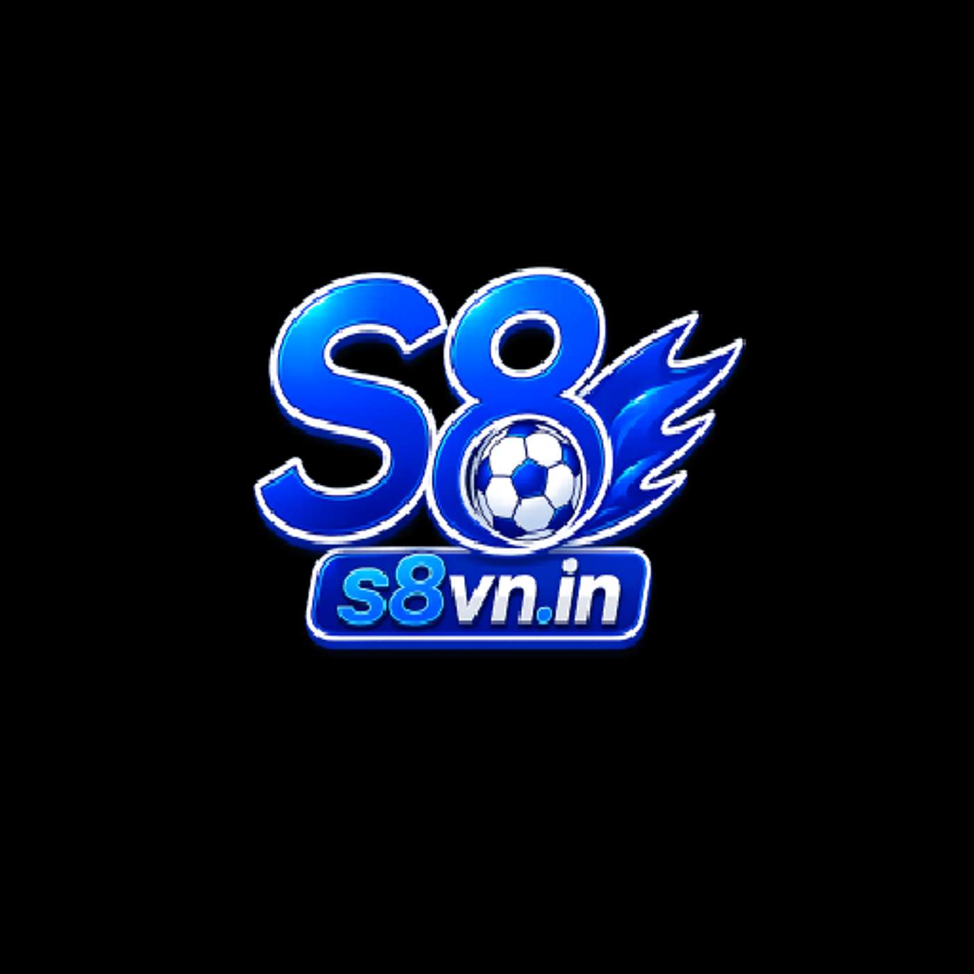 s8--vnin