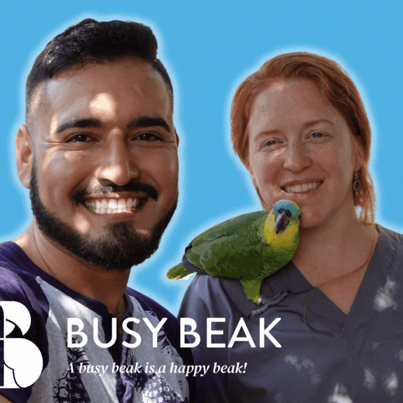 Behind the scenes at Tampa Bay Parrots