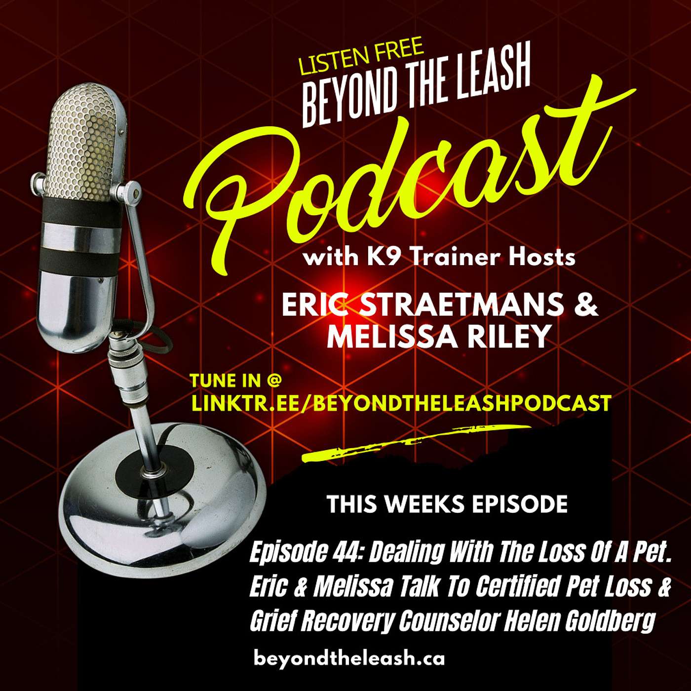 Episode 44: Dealing With The Loss Of A Pet With Certified Pet Loss & Grief Recovery Counselor Helen Goldberg