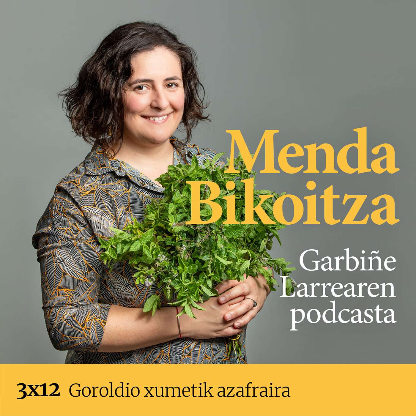 Menda Bikoitza 3x12: Goroldio xumetik azafraira episode artwork