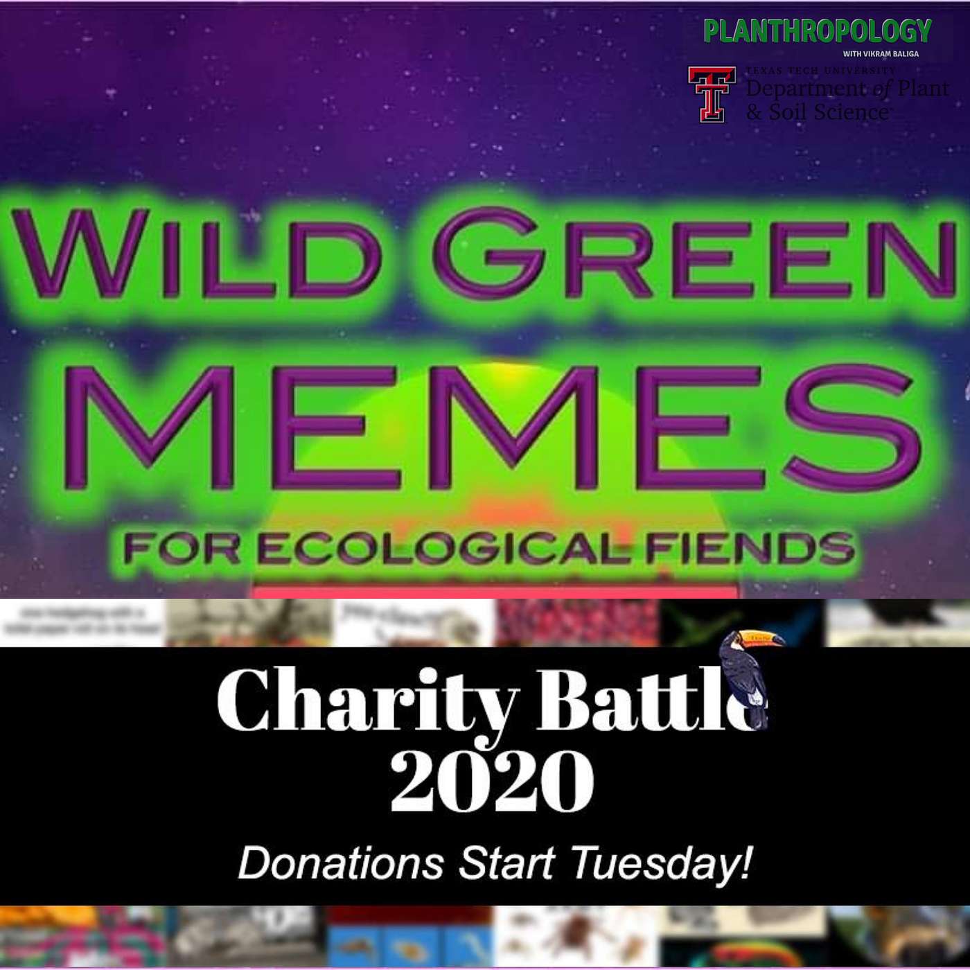 Wild Green Charity Battle