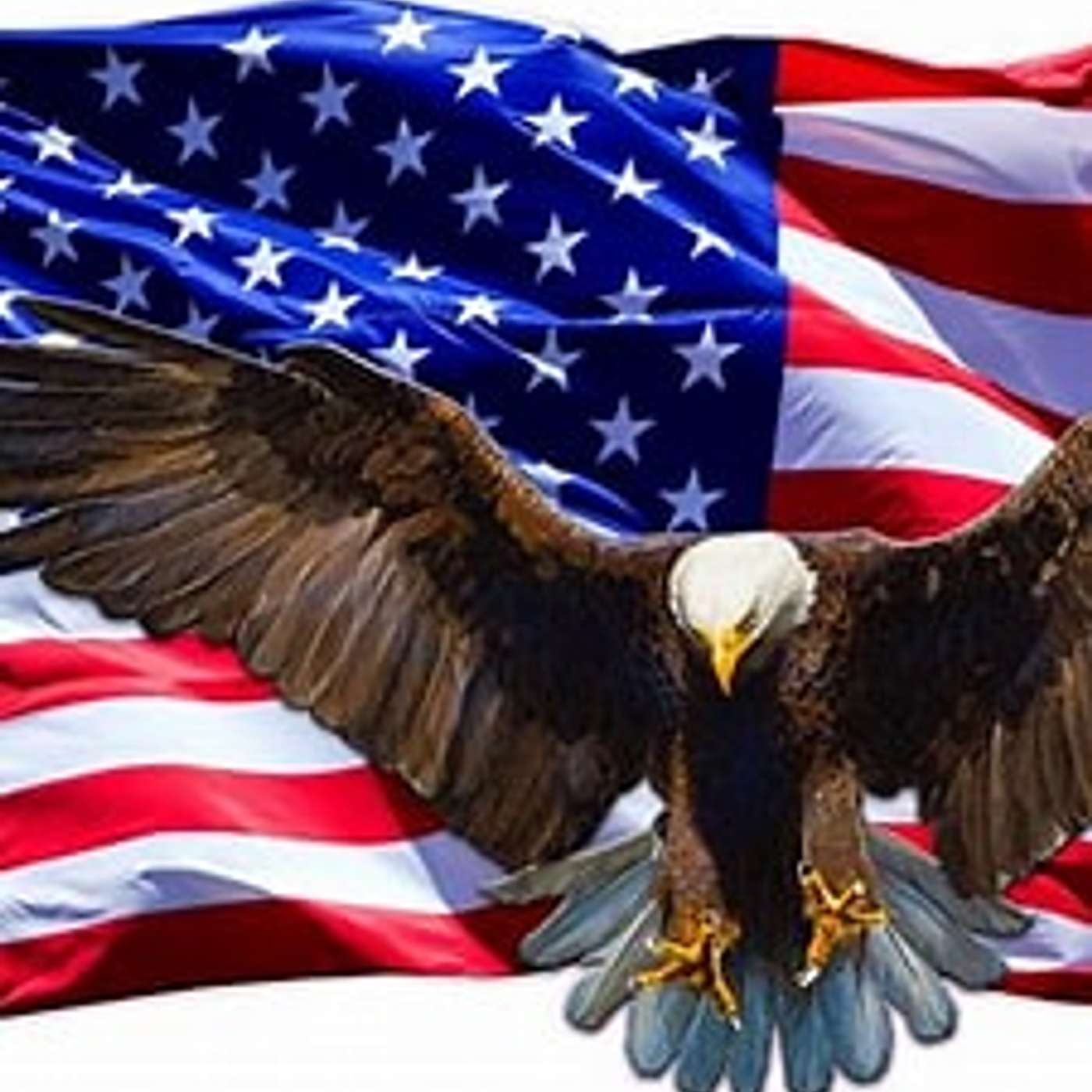  The voice of free  America