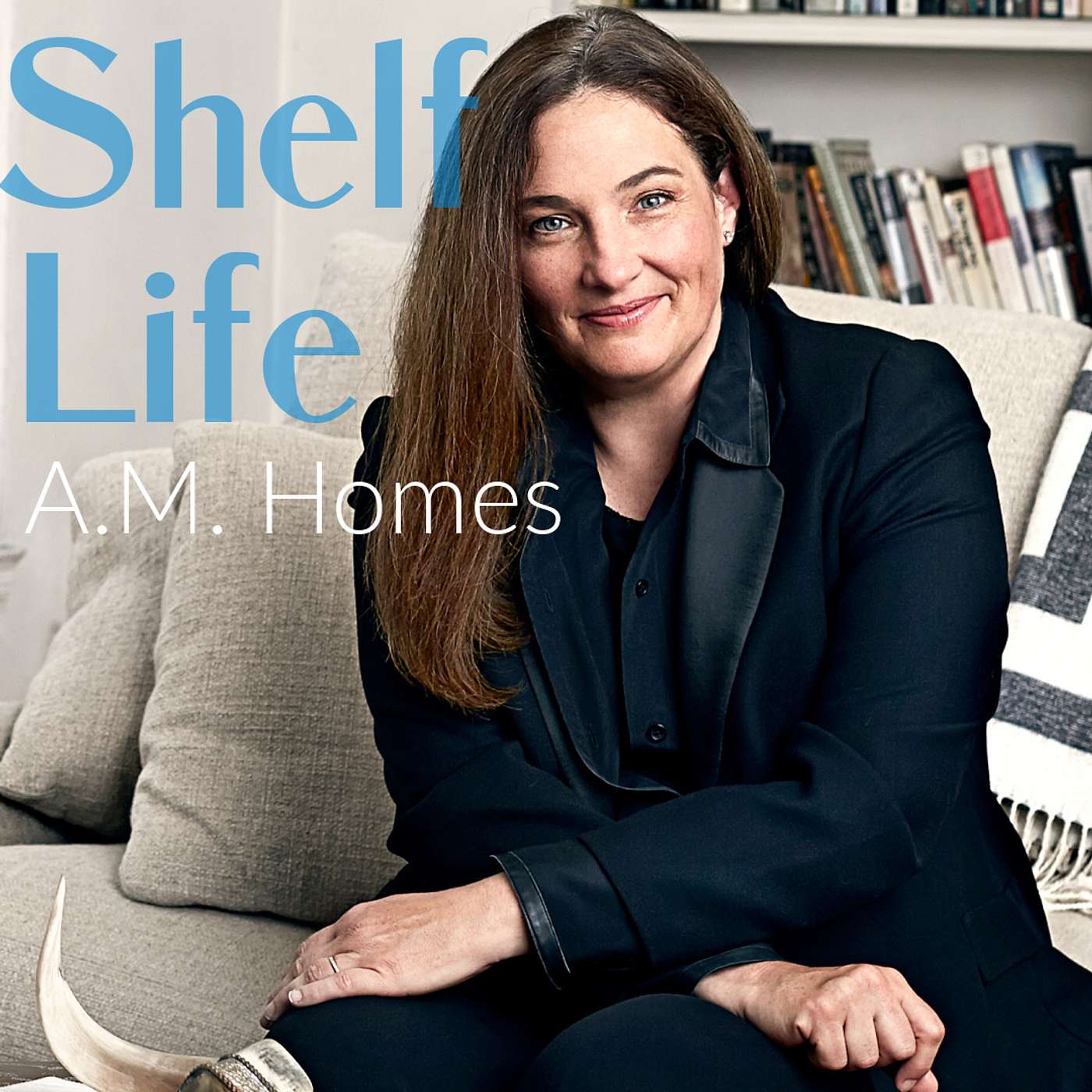 A.M. Homes on absurdity, satire, and the troubles of men episode artwork