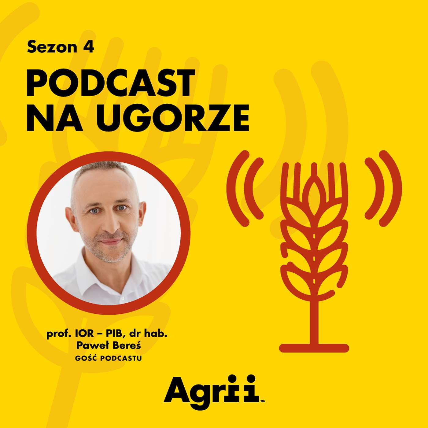 Czego się (nie) bać w kukurydzy? | prof. IOR – PIB, dr hab. Paweł Bereś
