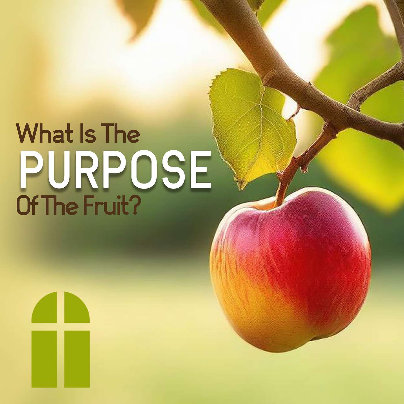 What Is The Purpose Of The Fruit - Sunday PM 07/20/2025 - Pastor Bob Gray II