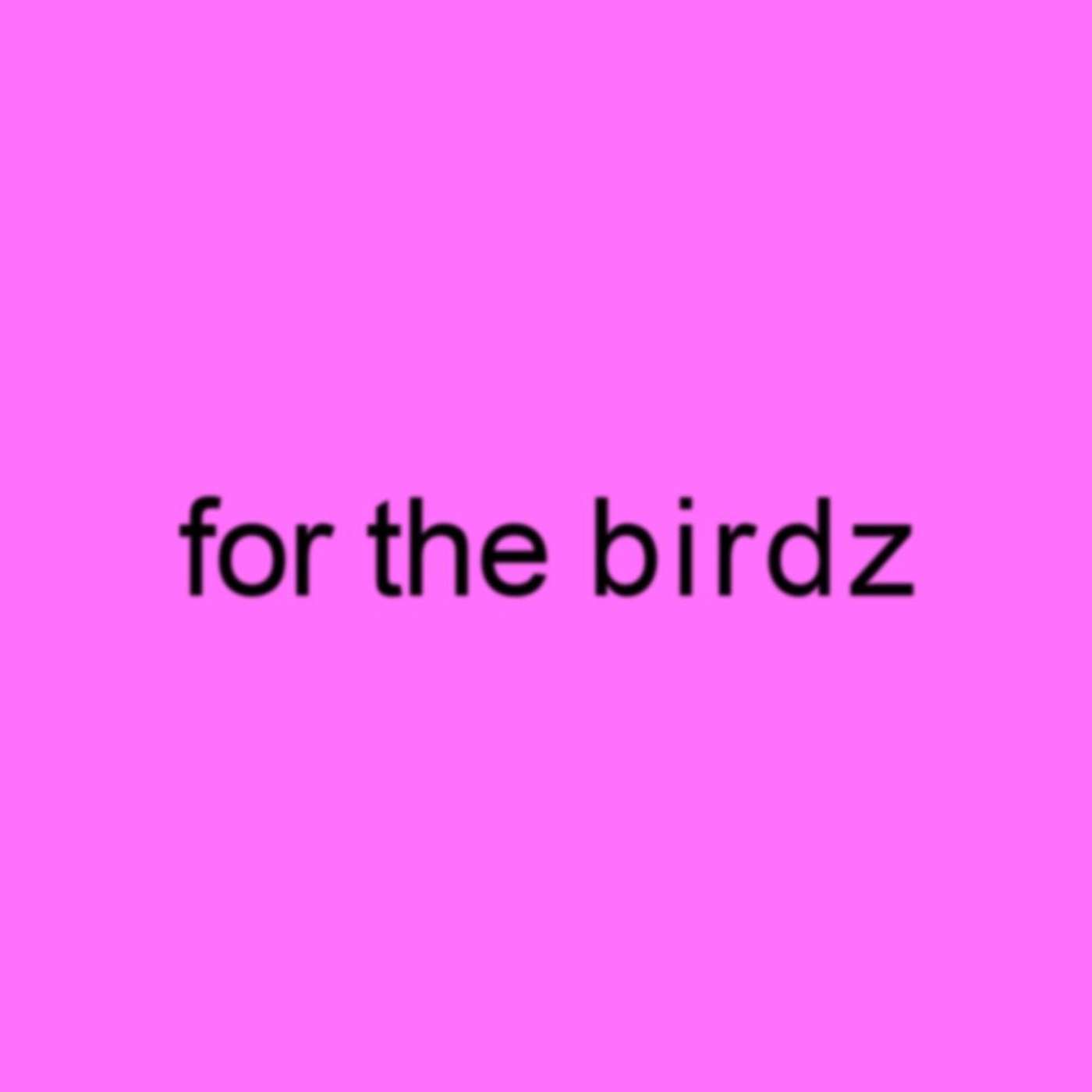 For The Birdz podcast artwork