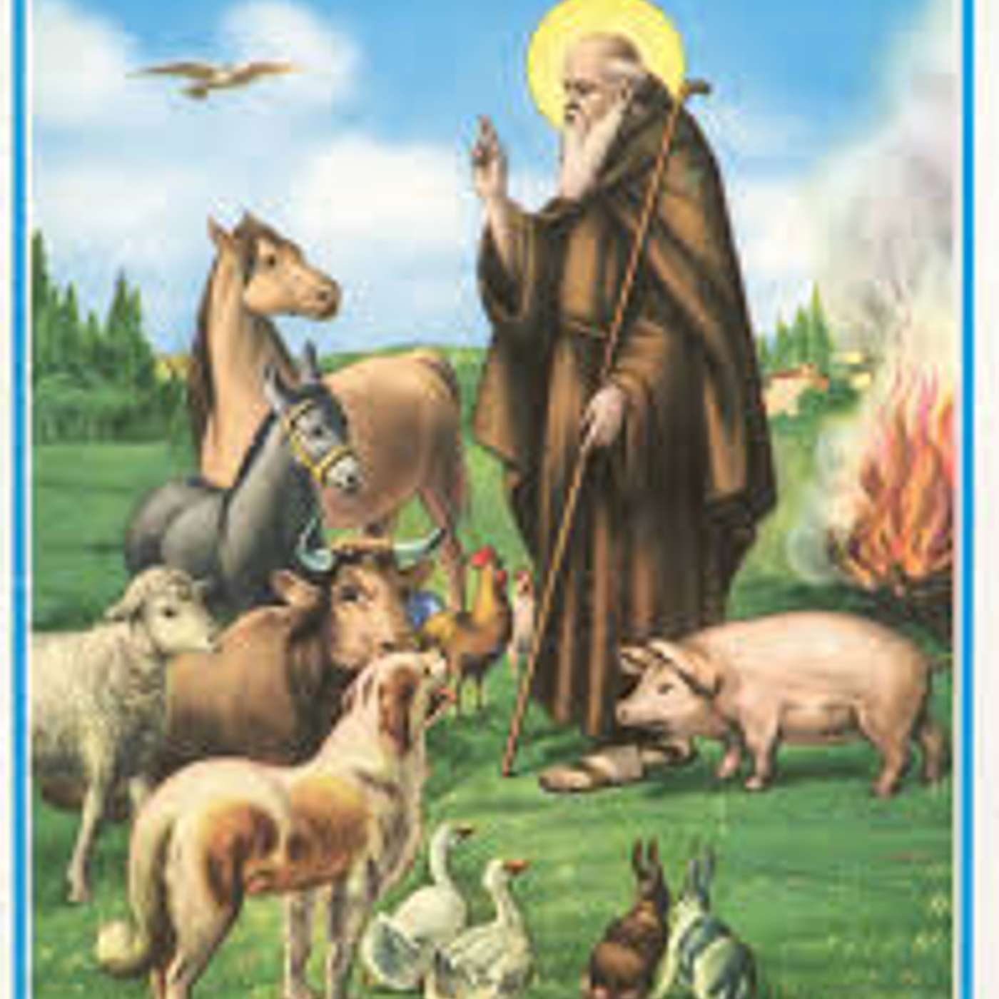 Sant'Antonio patrono degli animali e non solo... Animali e benedizioni Sant'Antonio patrono degli animali e non solo... Animali e benedizioni