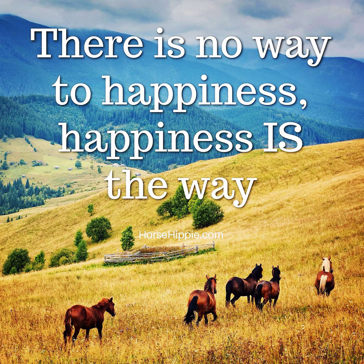 Don’t Wait to Be Happy