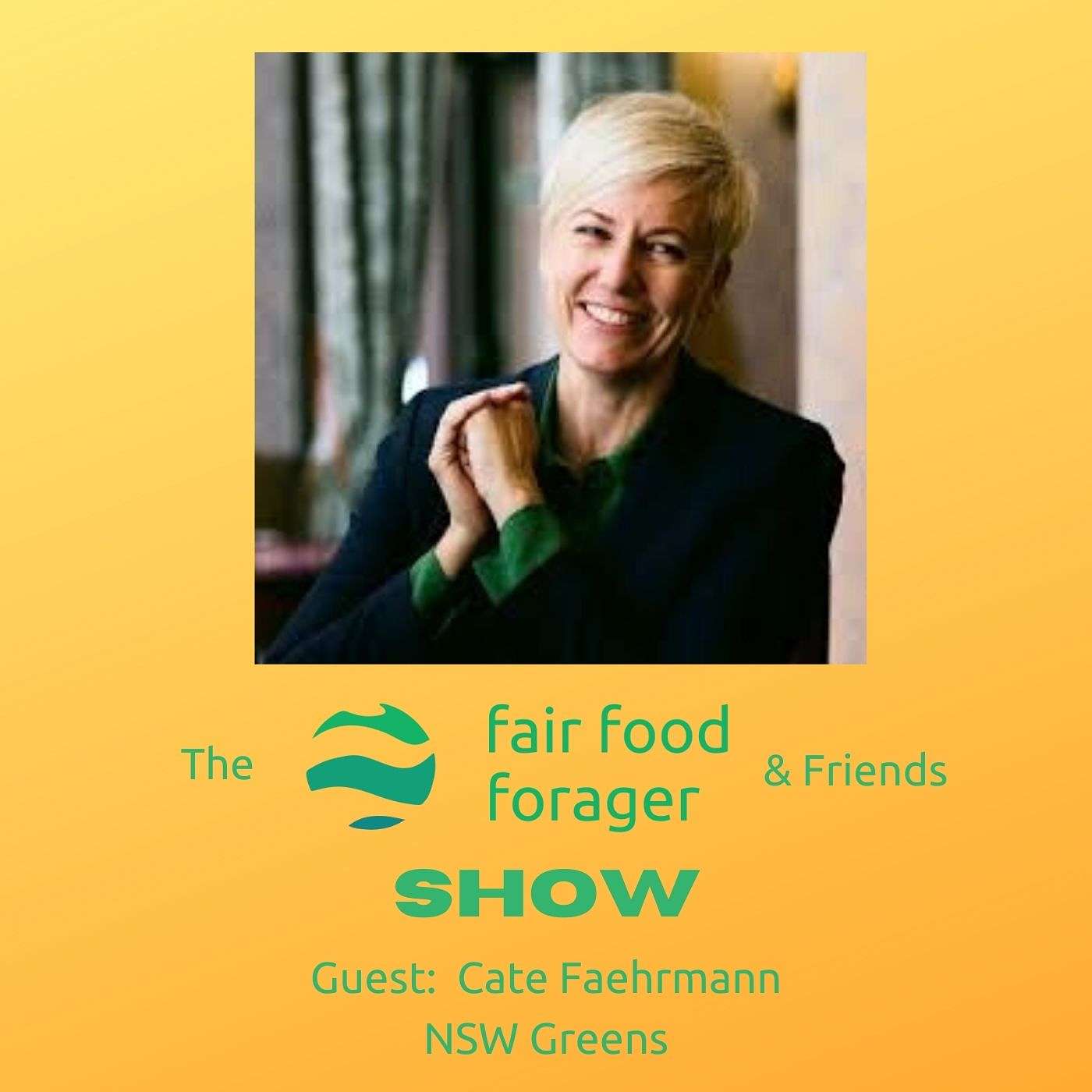 #14 Cate Faehrmann NSW Greens - Creating change in an imperfect system, mining under water supply & escaping into nature
