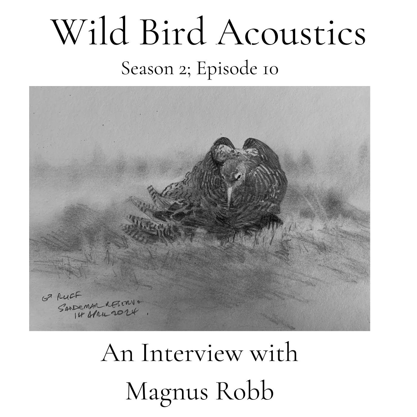 Wild Bird Acoustics