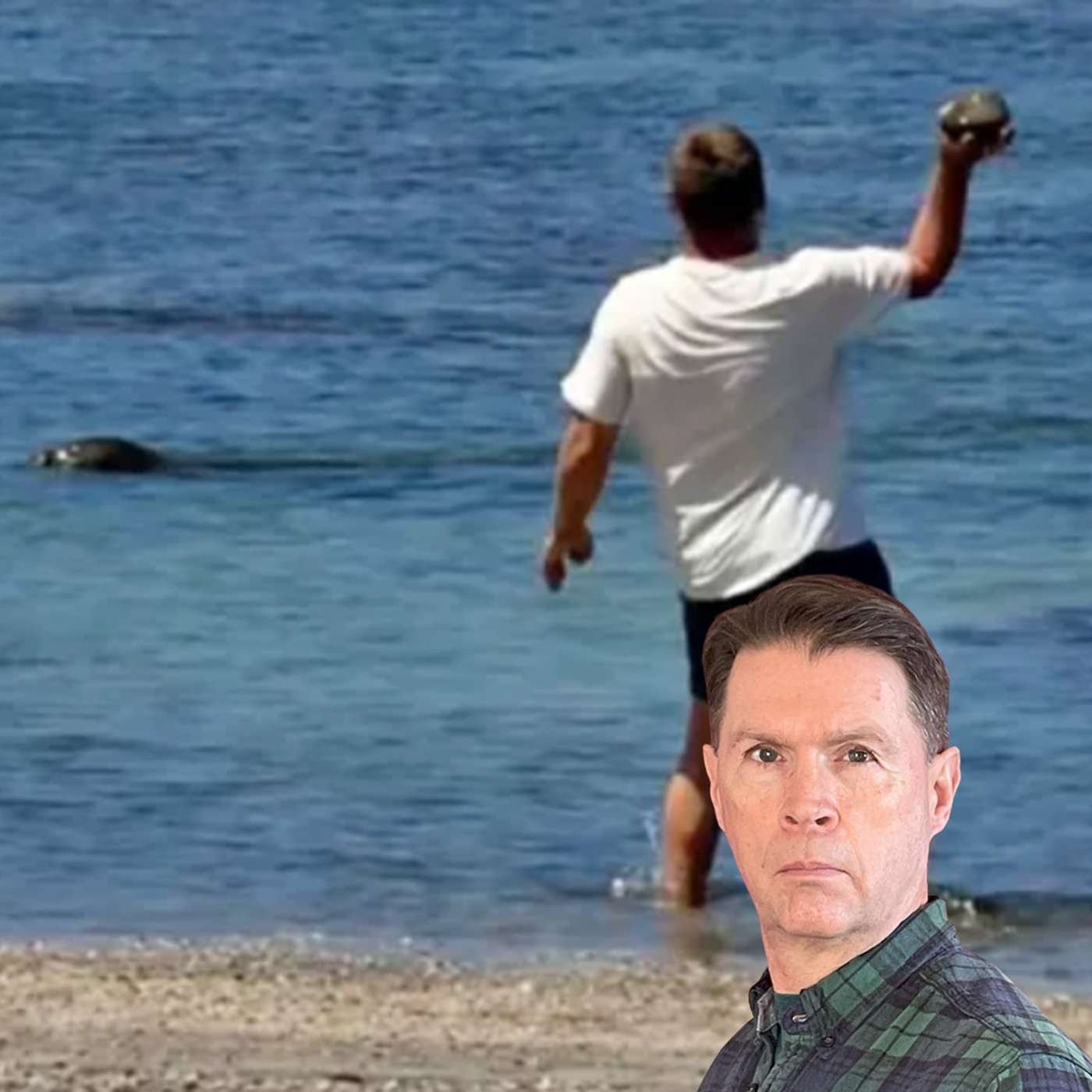 S5 E12 - Animal Lovers - Not Rock Throwers - are Killing the Seals episode artwork