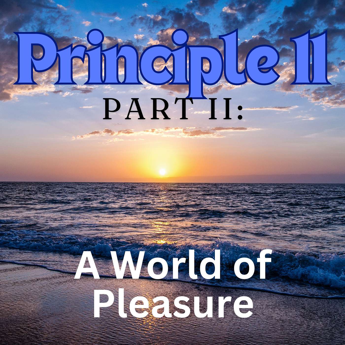 Principle 11 (pt 2) - A World of Pleasure episode artwork