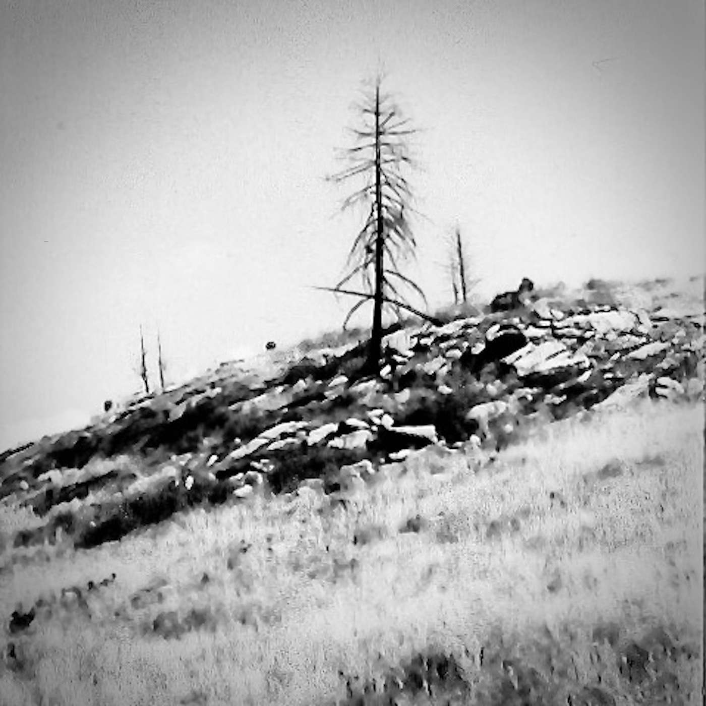 Episode 16 - The End Times