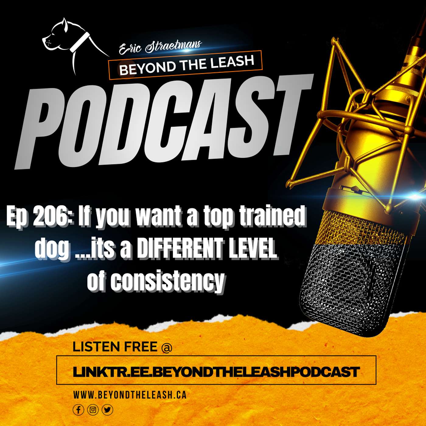 Ep 206: If you want a top trained dog ...its a DIFFERENT LEVEL of consistency