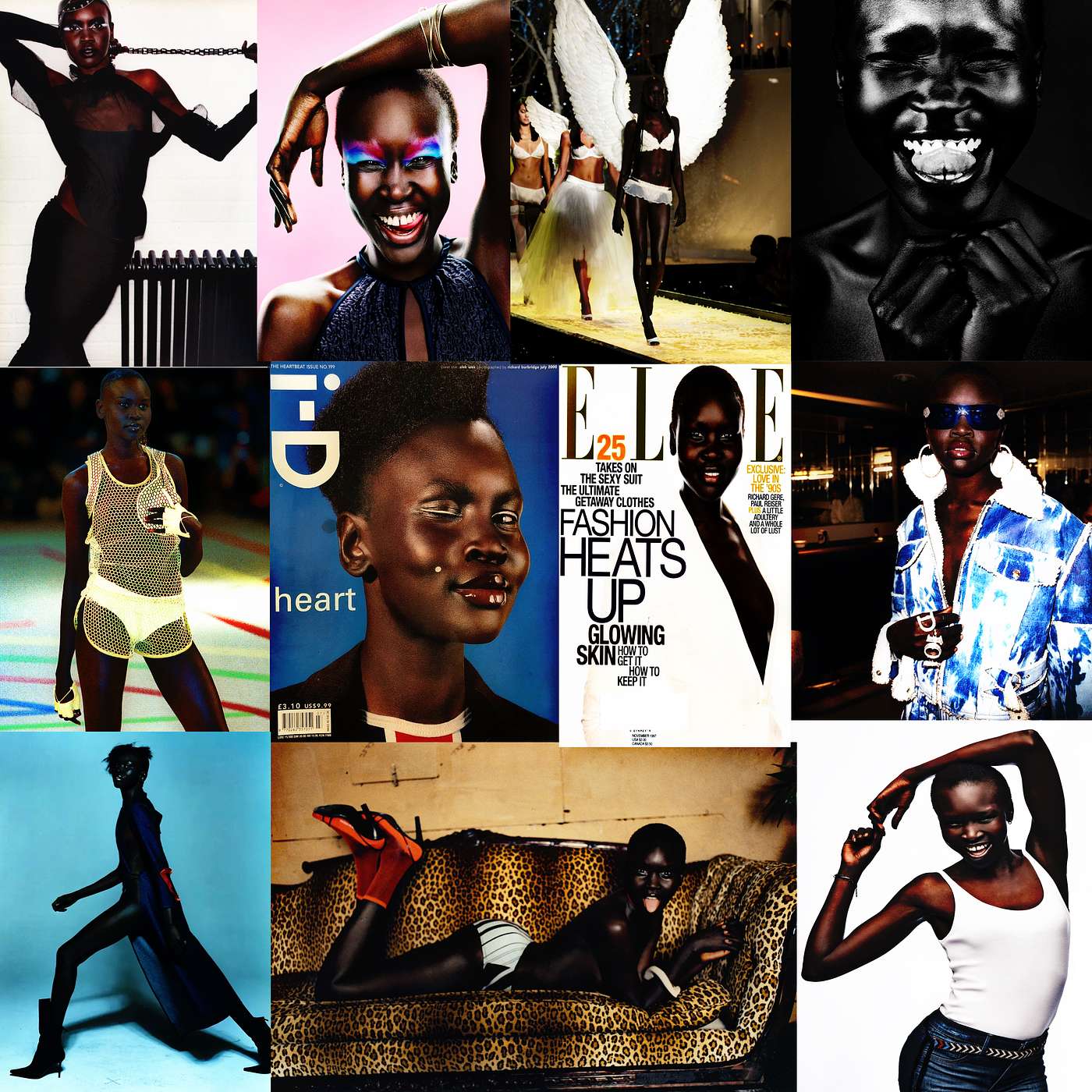 Vixen: Black Beauty and Pop Culture