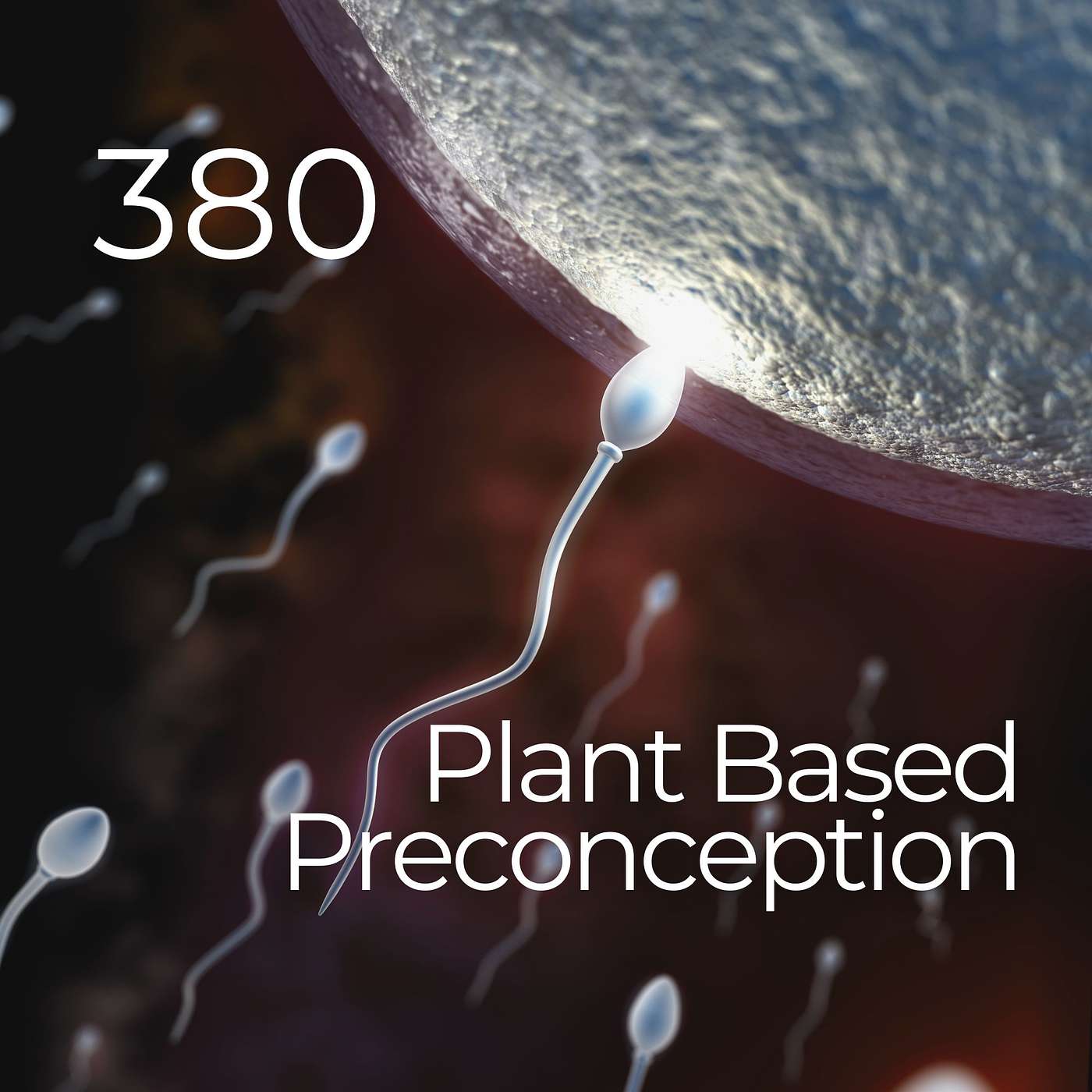 #380 - Plant-Based Preconception