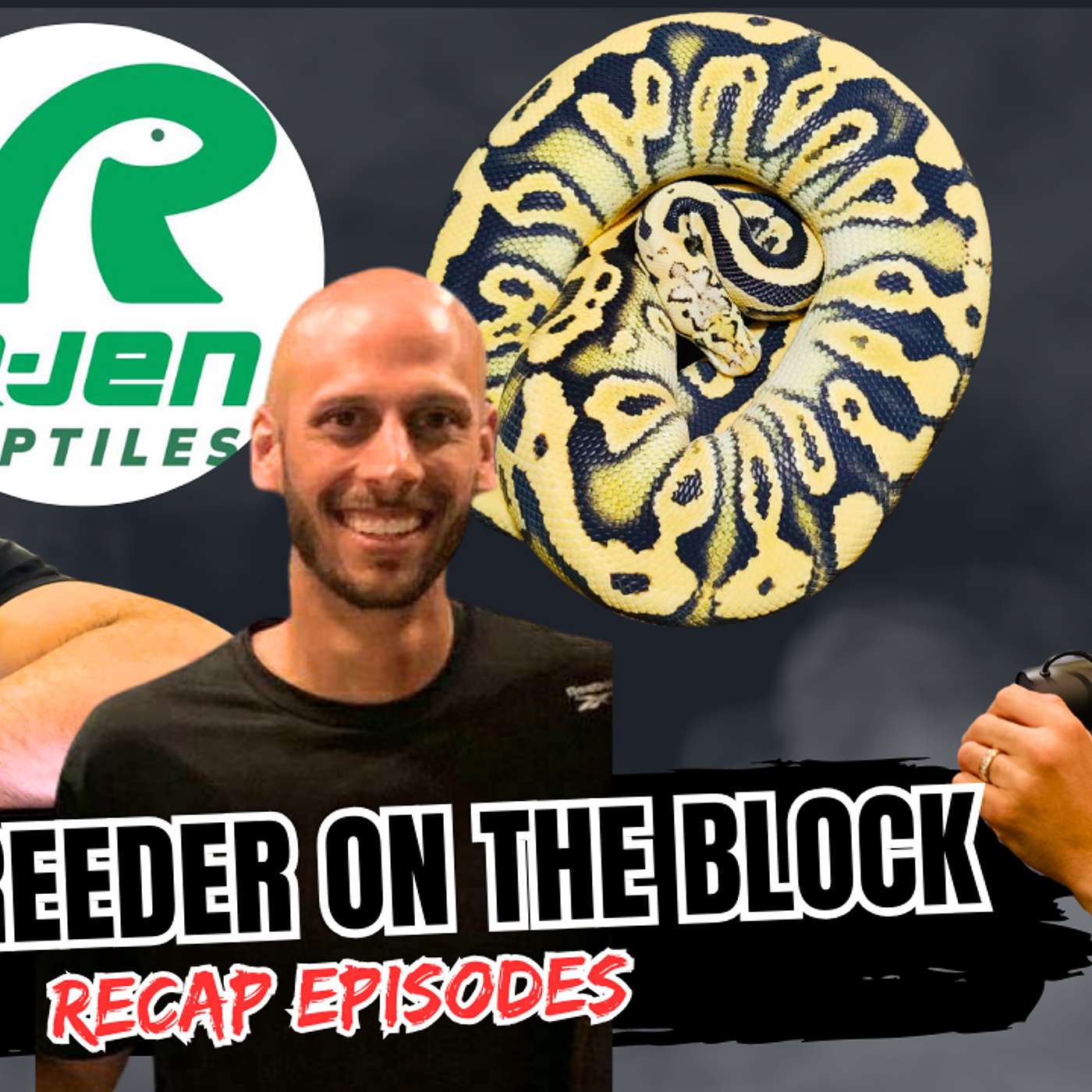 Identifying The Strengths & Weaknesses Of Any Ball Python Project | NBB The Recap Episodes (Live)