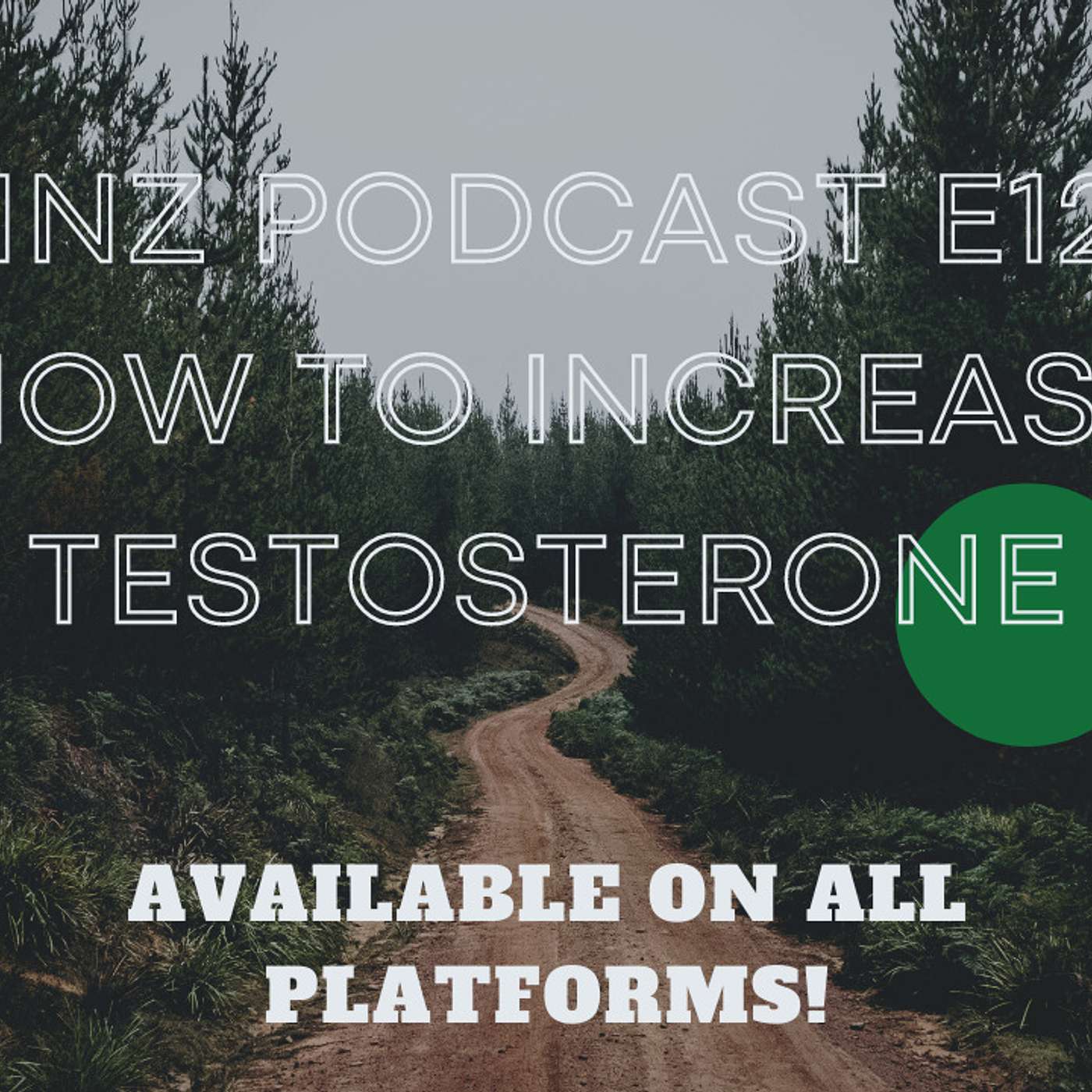 How To Increase Testosterone - Gainz Podcast E125