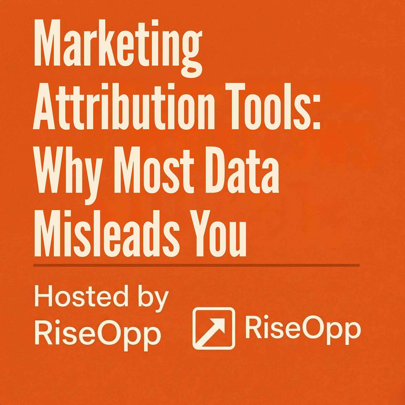 Marketing Attribution Tools: Why Most Data Misleads You | RiseOpp episode artwork