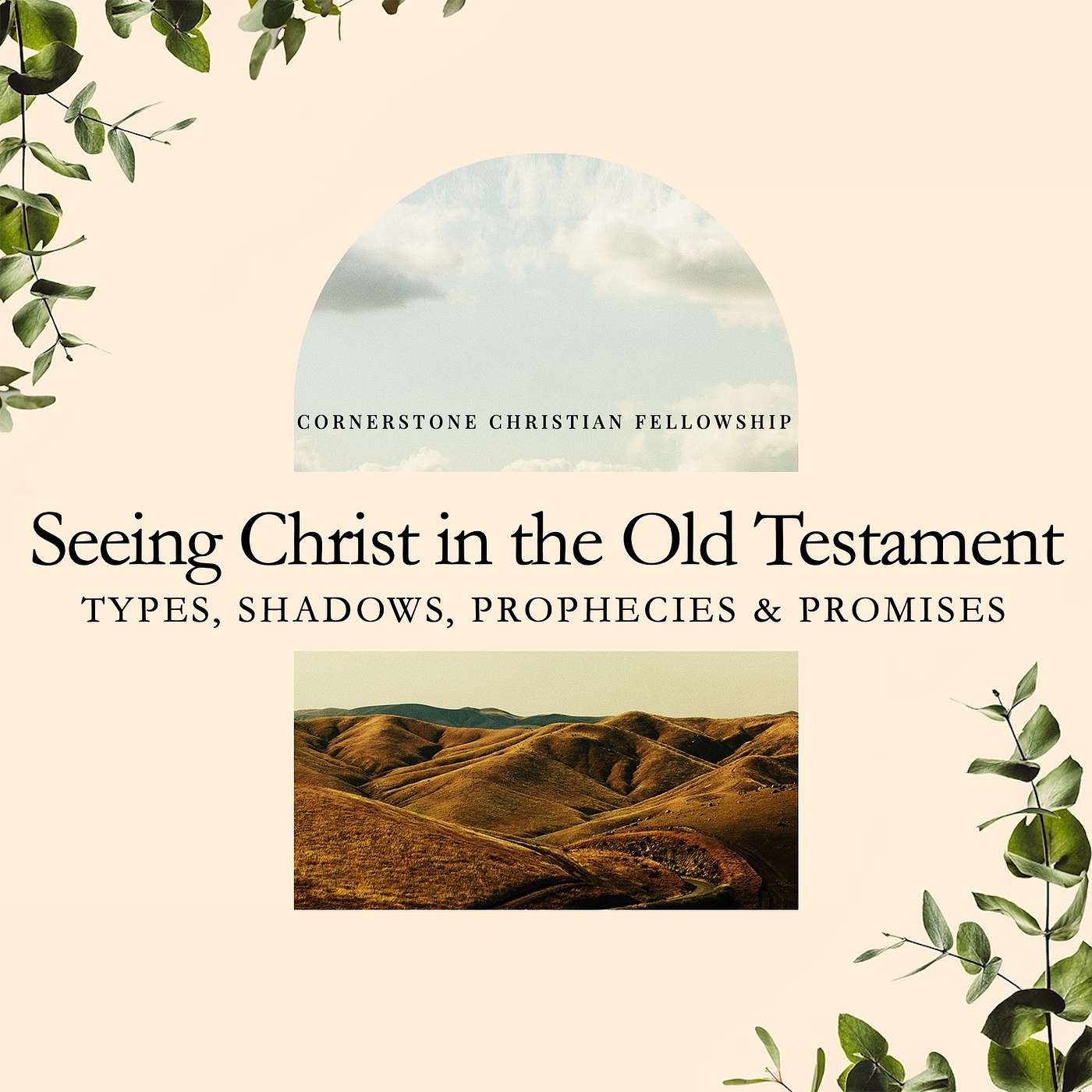 The Virgin-Born Son: Immanuel (Isaiah 7:14, 9:2-7) episode artwork
