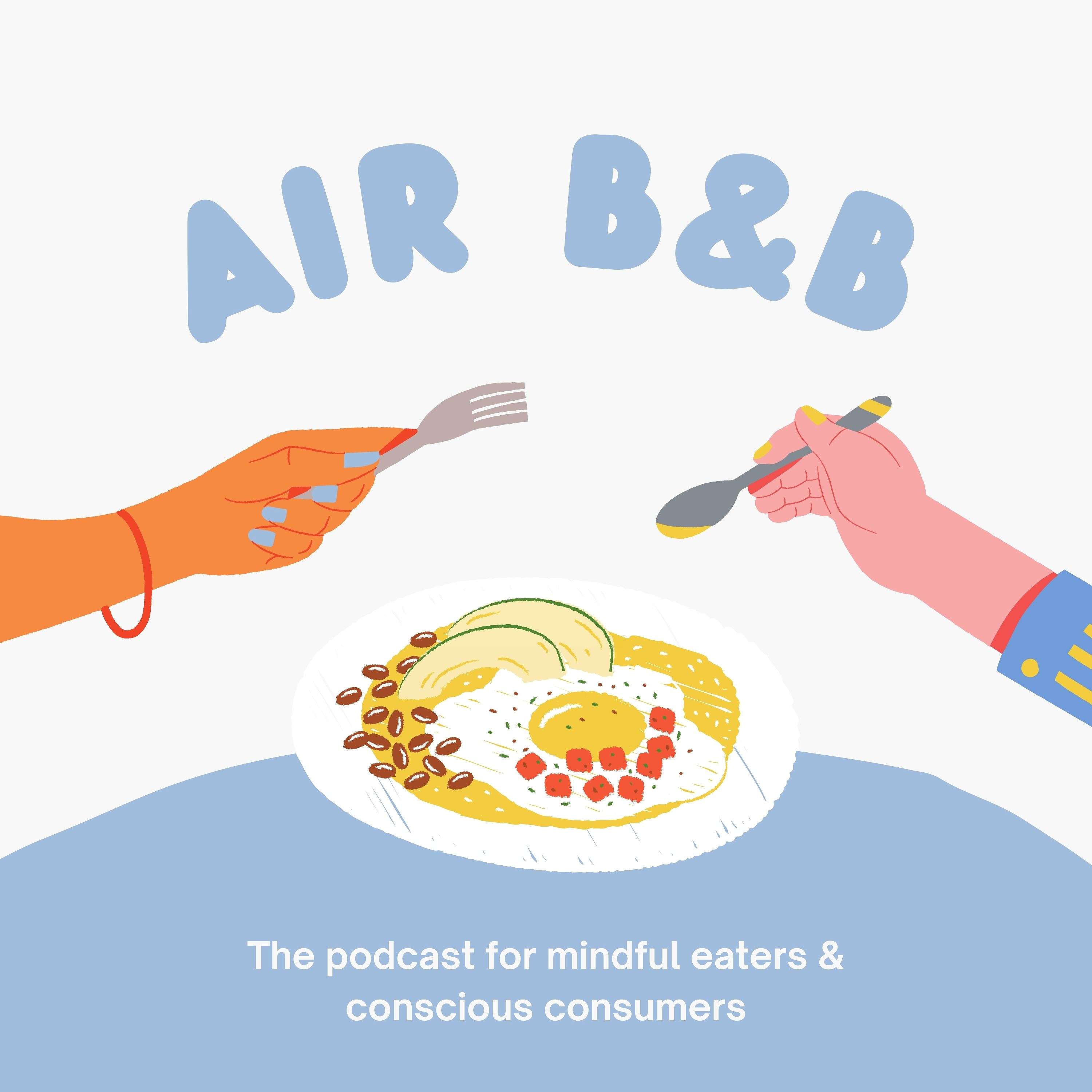 Airplane Budget & Bite