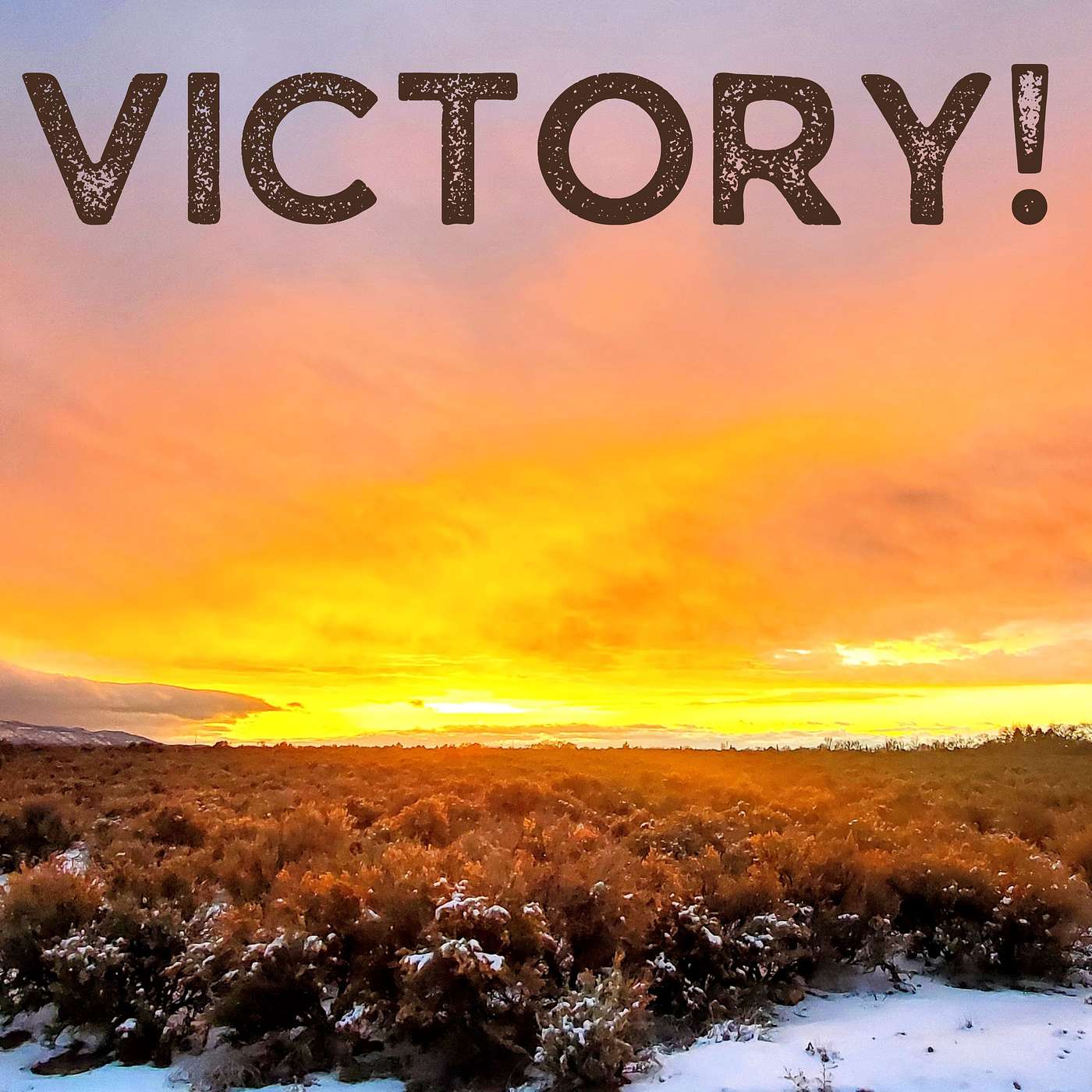 Victory! episode artwork