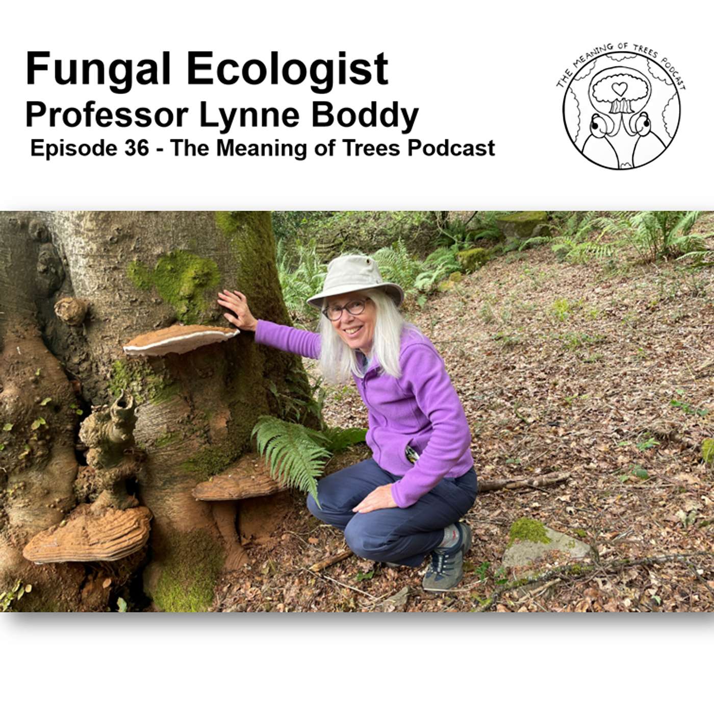 Fungal Ecologist - Professor Lynne Boddy - E36